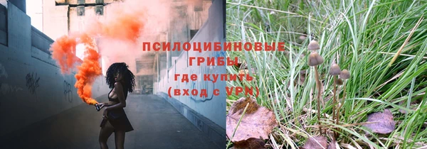 PSILOCYBIN Новозыбков