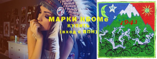 гашик Новодвинск