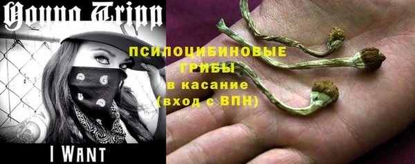 PSILOCYBIN Новозыбков