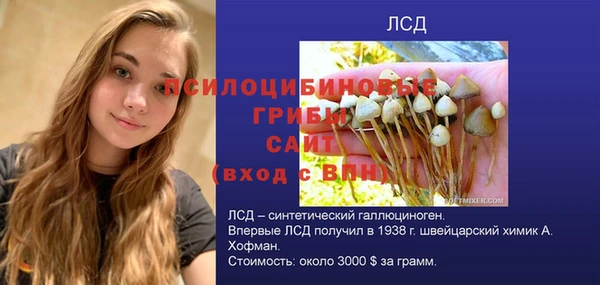 ешки Новокубанск