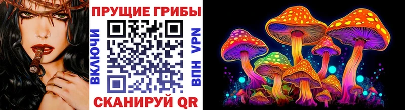 Купить где  Копейск  Псилоцибиновые грибы мицелий 